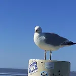 Echt Ostfriesenhus * Norden
