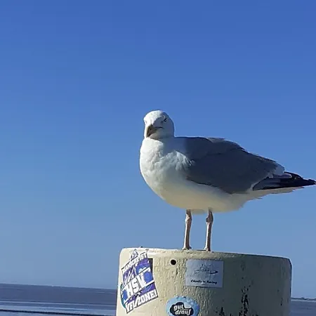 Echt Ostfriesenhus * Norden